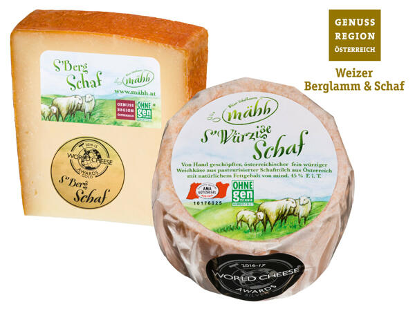 Würziger Schafkäse oder Bergschafkäse