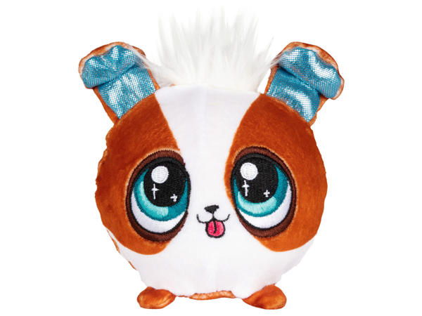 Coco Scoops Teddys