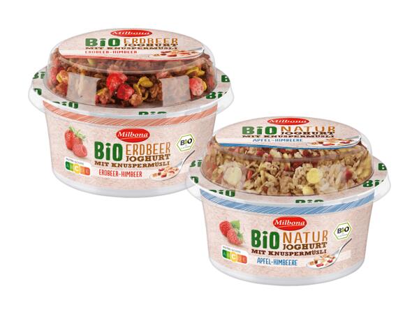 Bio Joghurt mit Knuspermüsli