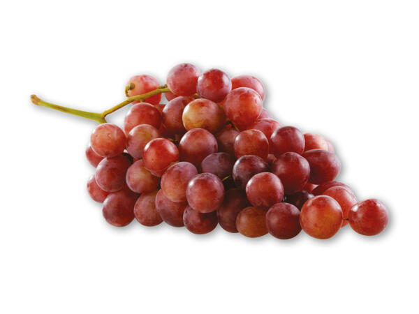 Grappoloni- eller Red Globevindruer