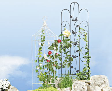 Espalier en métal pour plantes grimpantes GARDENLINE(R)