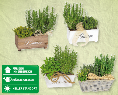 Kräuterkisten und Körbe