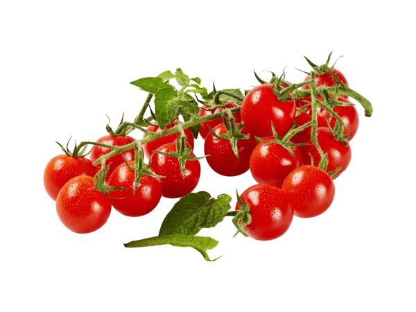 Cherry rajčata keříková