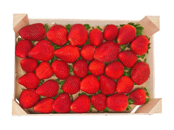 Erdbeeren