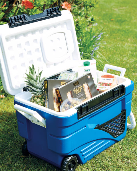 Adventuridge Wheeled Cooler