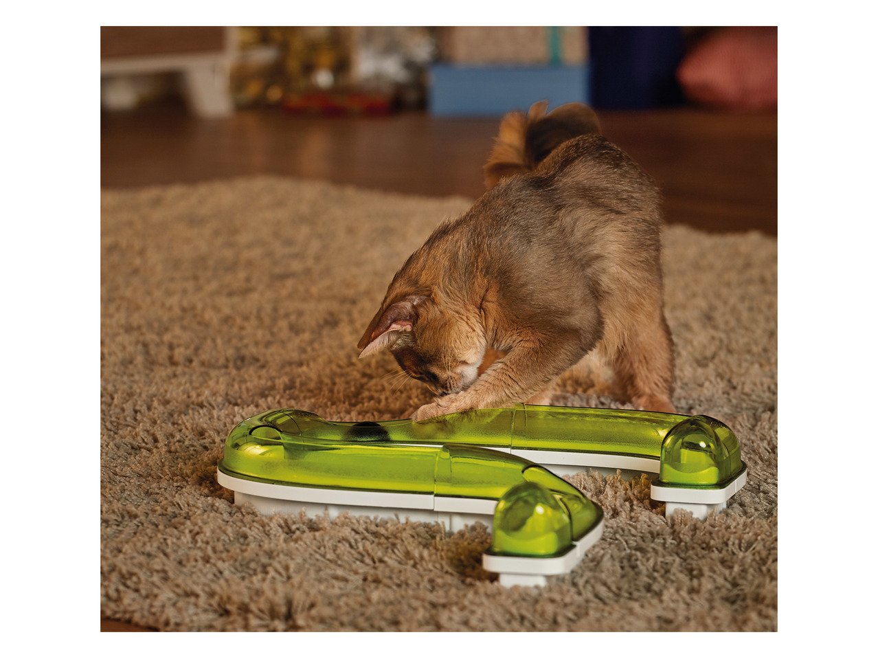 Zoofari Cat Toys1