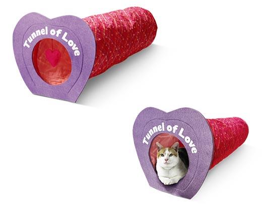 Heart to Tail 
 Cat Tunnel of Love