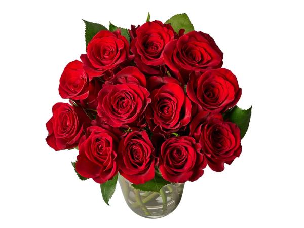 Dozen Red Roses