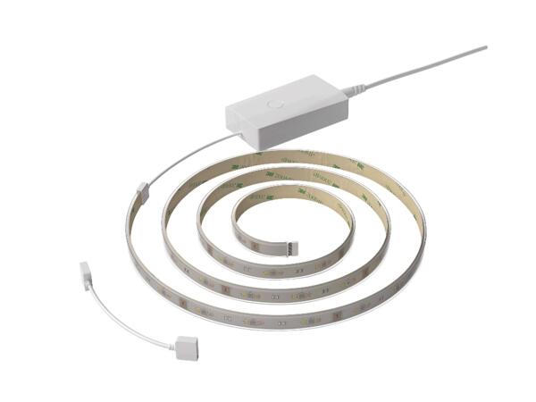 LED Roll Digital