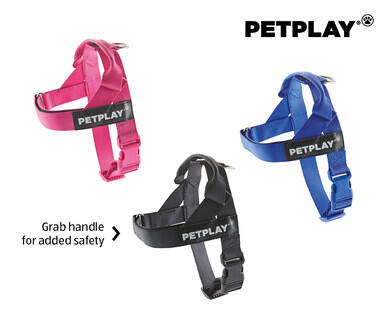 Extra Small or Small Dog Harness, Activity Lead or Rope Lead