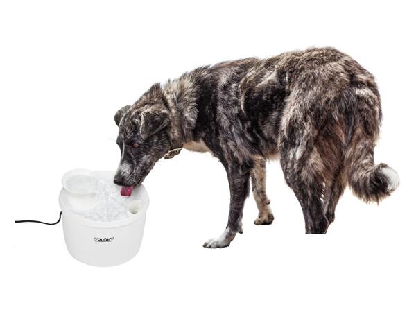 Zoofari Pet Water Fountain