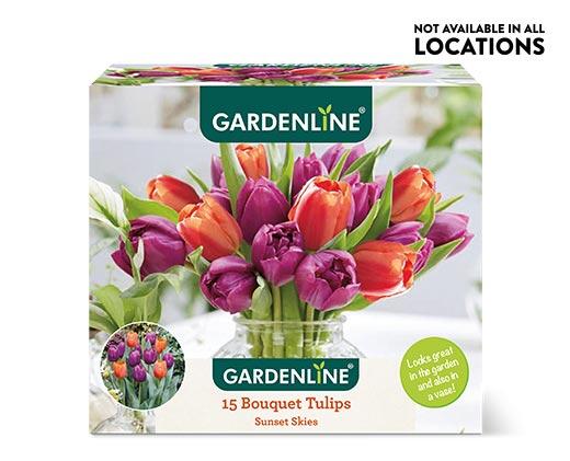 Gardenline Perfect Match Bulbs Assorted Varieties