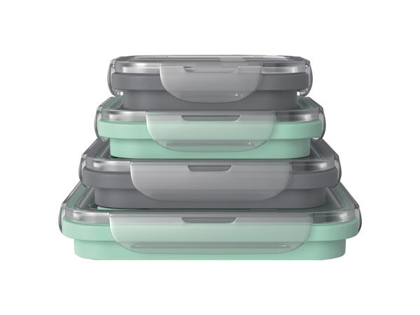 Collapsible Storage Containers