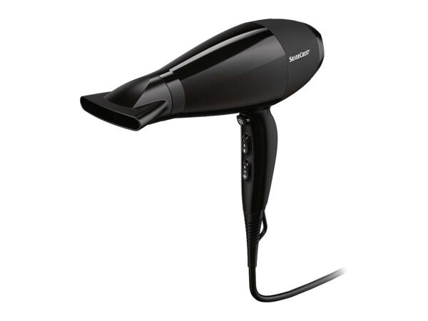 Professional Ionic Hair Dryer