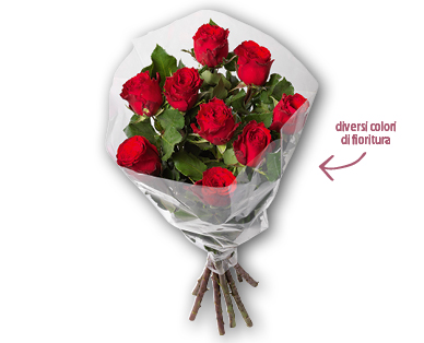 Rose a gambo lungo Max Havelaar Fairtrade