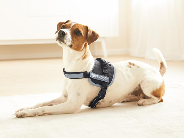 ZOOFARI(R) Hundesele