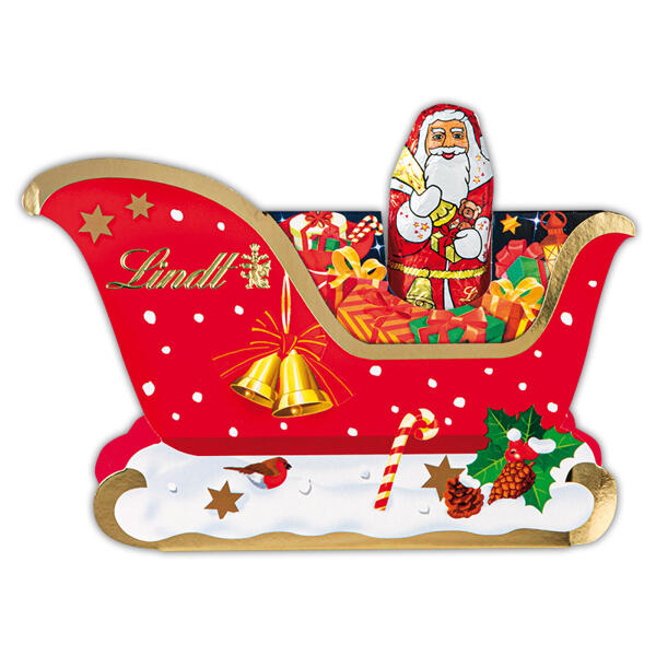 Mini Santa im Schlitten