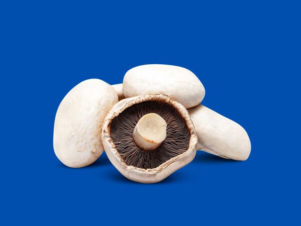 Large Flat Mushrooms