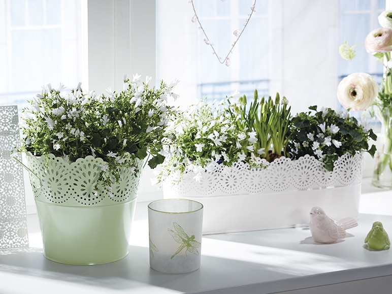 FLORABEST Flower Pot Assortment