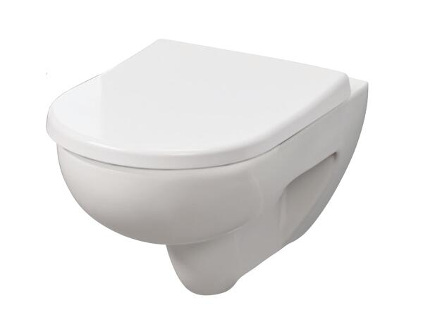 Toilet Seat
