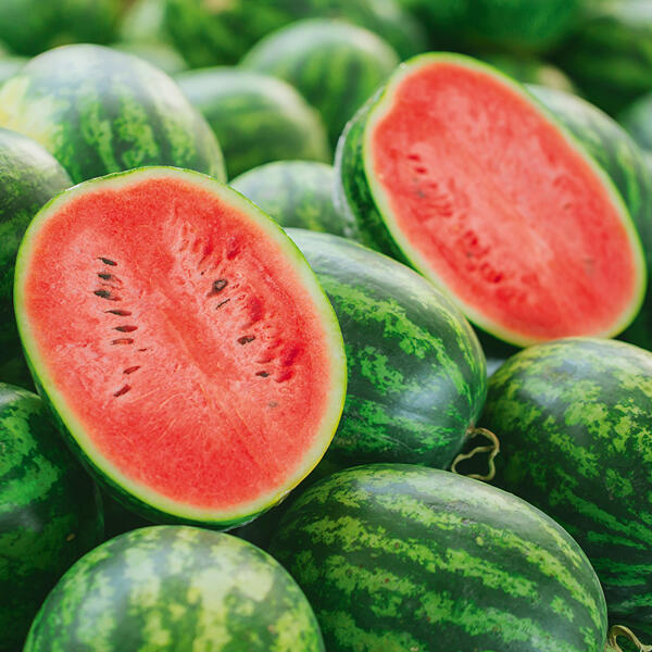 "Dumara" Riesen-Wassermelone