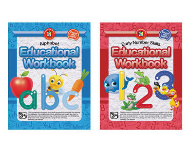 Educational Workbooks or Flashcards