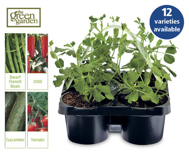 4 Pack Potted Vegetables