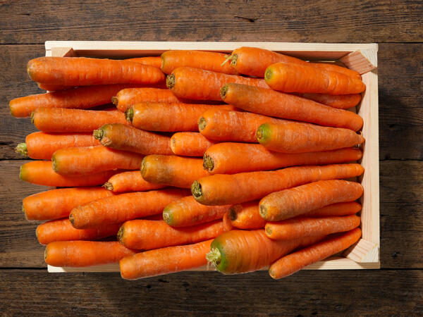 Carottes
