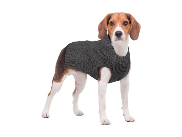 Dog Jumper