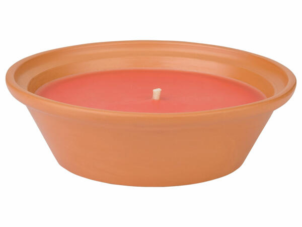 Citronellaljus