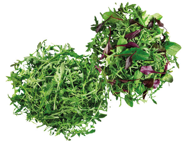 Rucola oder Mix Salat