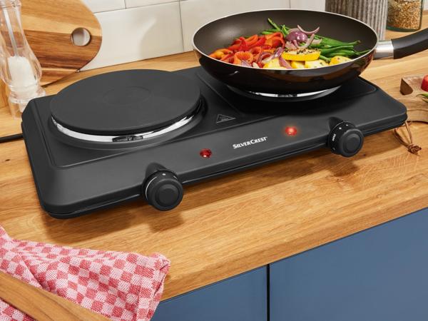 Dual Hotplate