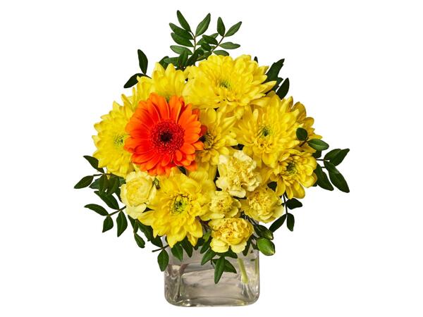 Pocket Money Yellow Posy