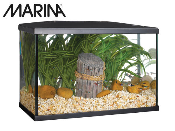 Marina 19L Lux Fish Tank