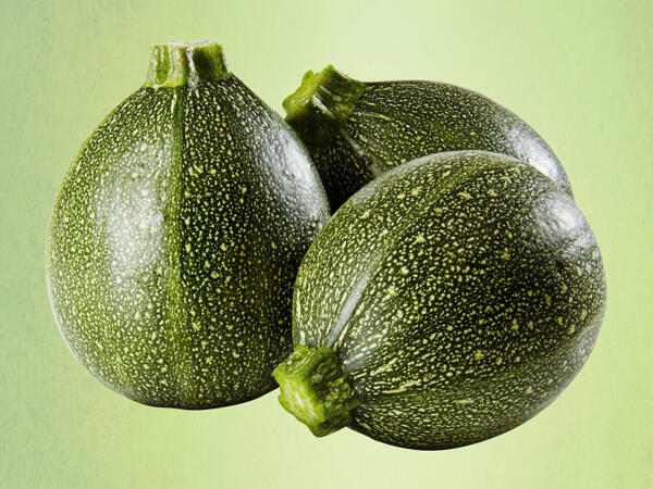 Zucchini rund