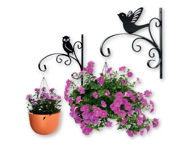 FLORABEST(R) Hanging Basket Bracket