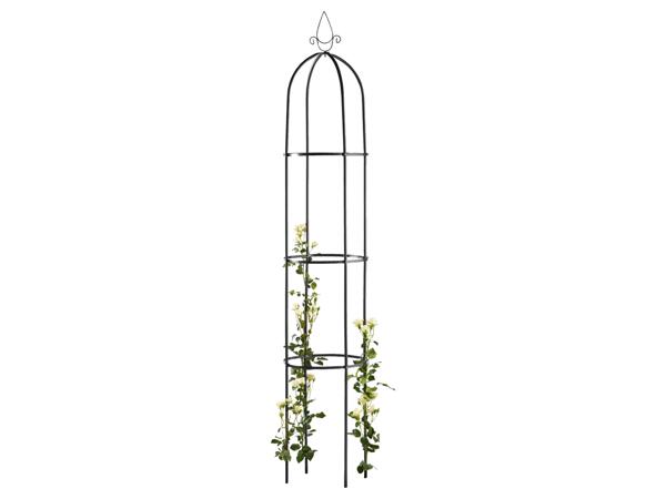 Rose Arch / Garden Obelisk
