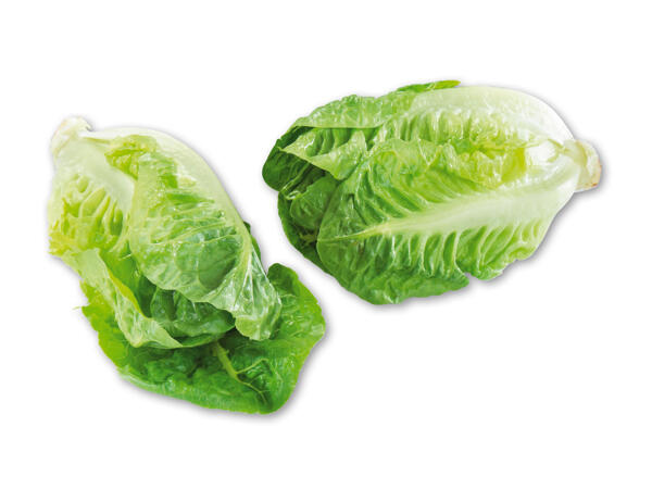 Økologisk dansk hjertesalat