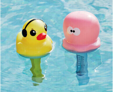 Floating Pool Thermometer