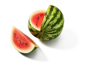 Maltese Watermelon
