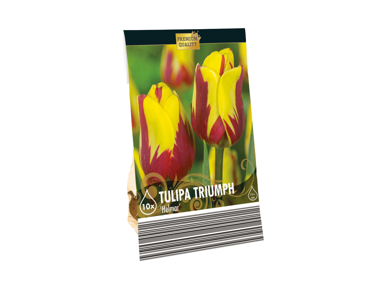 Premium Flowering Bulbs1