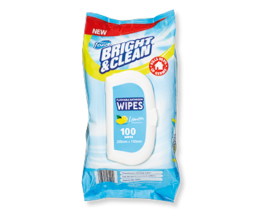 HOUSEHOLD WIPES 100PK