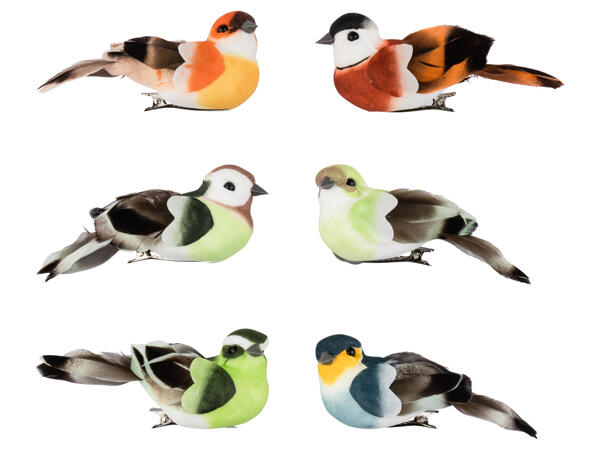 Decorative Clips