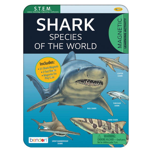 Bendon Shark Tin Activities