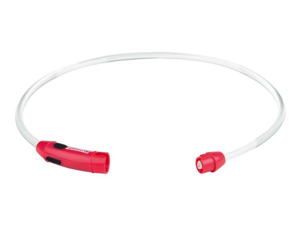 Zoofari LED Light-Up Dog Collar