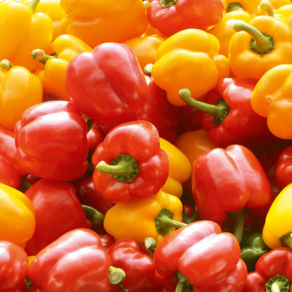 Paprika Sweet Mix