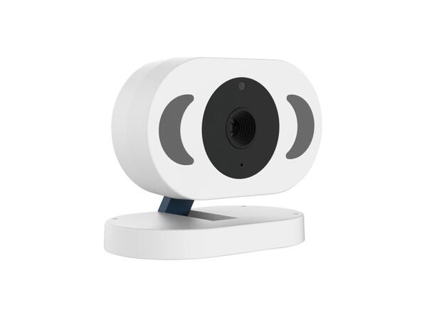 Video Baby Monitor