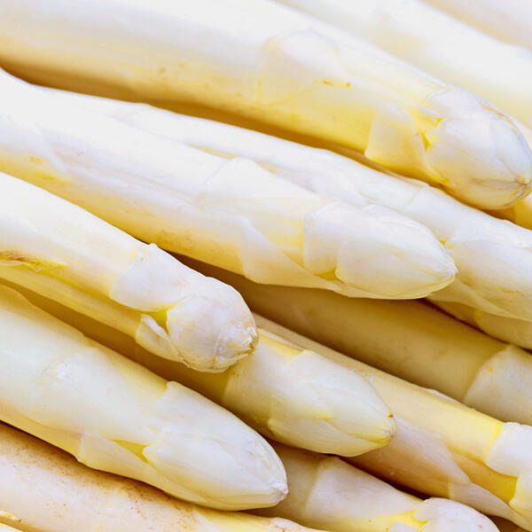Spargel