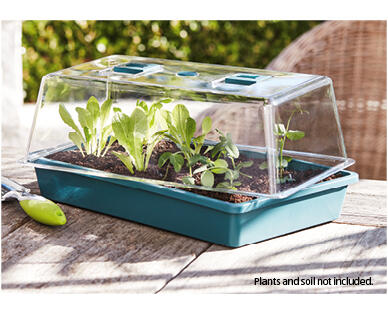 Seed and Cutting Greenhouse