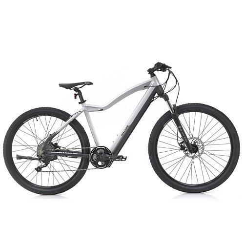 ALLEGRO Invisible E-MTB AXIM°03 19", Steel